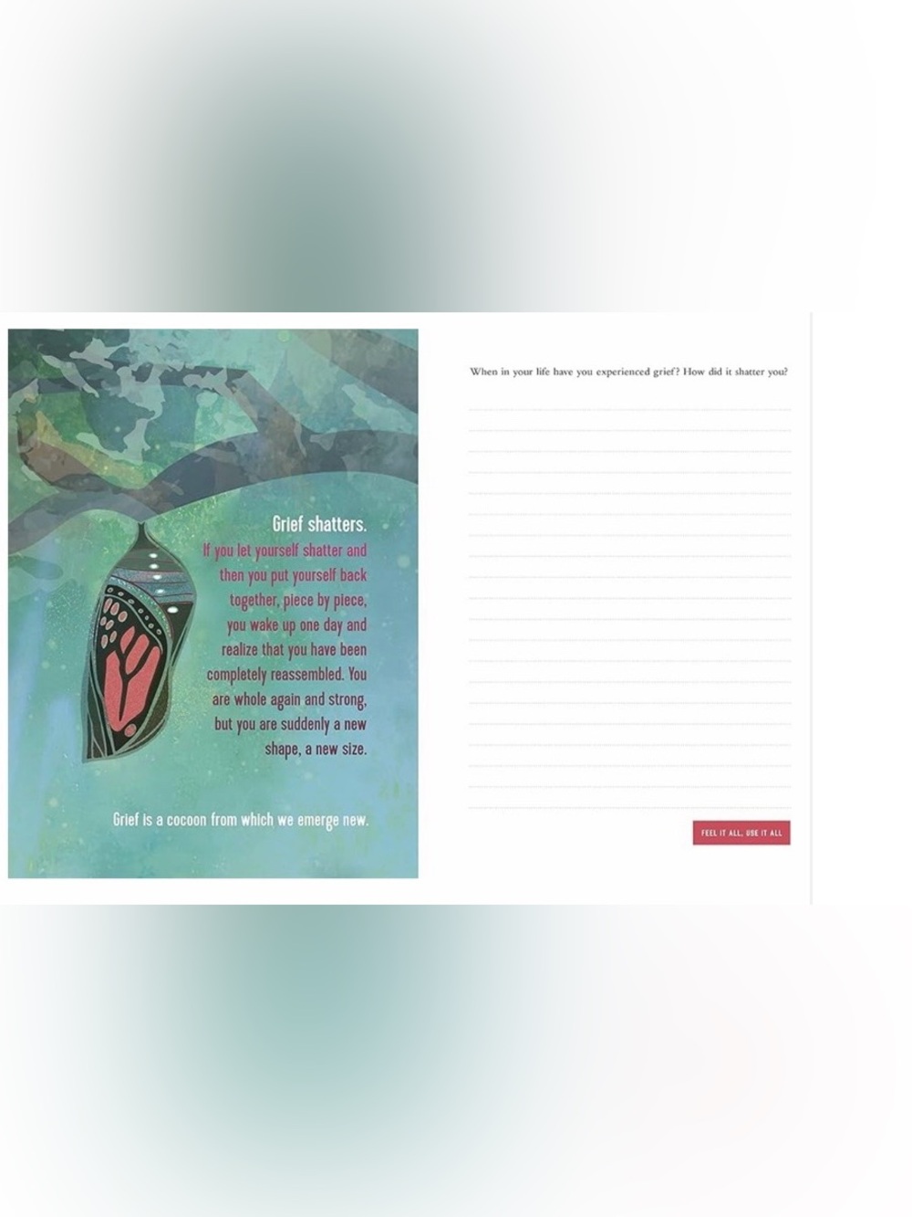 Untamed by Glennon Doyle Hardcover Book Bundle + Get Untamed Journal | Inspiring - Picture 9 of 9